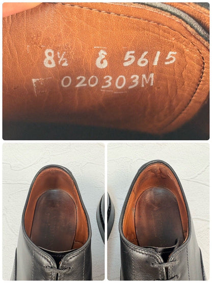 【オールソール済み】Allen Edmonds アレンエドモンズ Park Avenue パークアベニュー ストレート 内羽根 黒 ブラック US8.5E / 26.5cm【W3346】