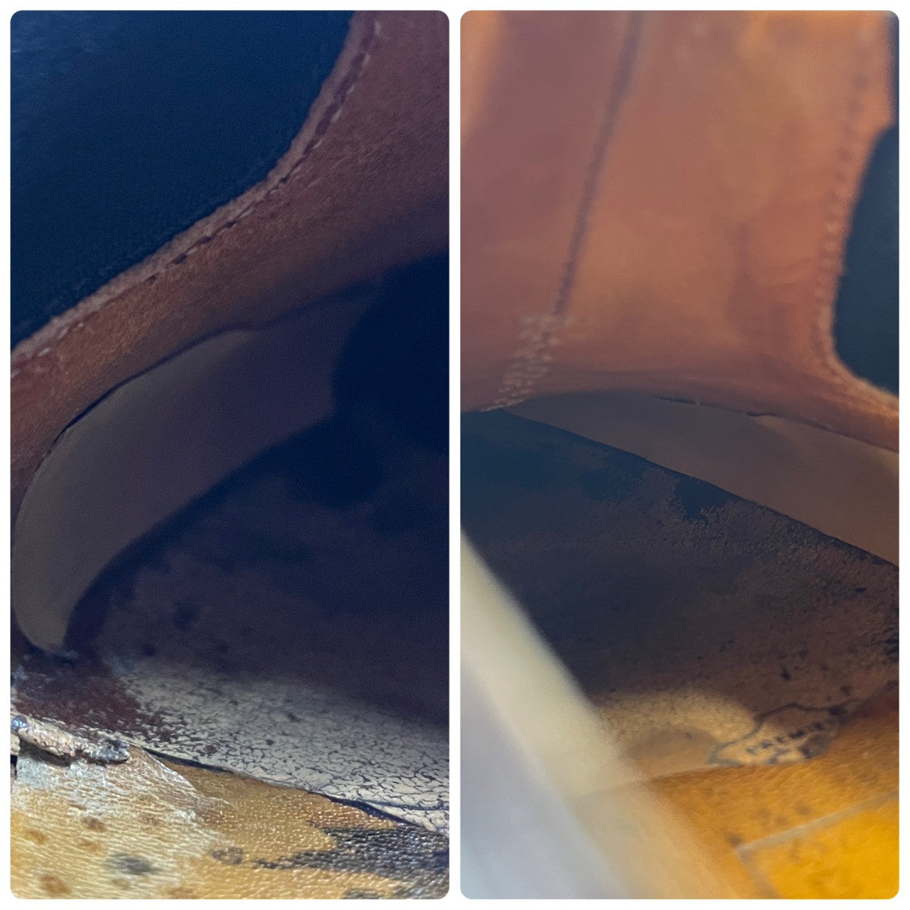 Paraboot / PHOTON / Photon Sidegoa Low-Cut TEX Sole Black UK6 / Size 24.5cm [W3425]